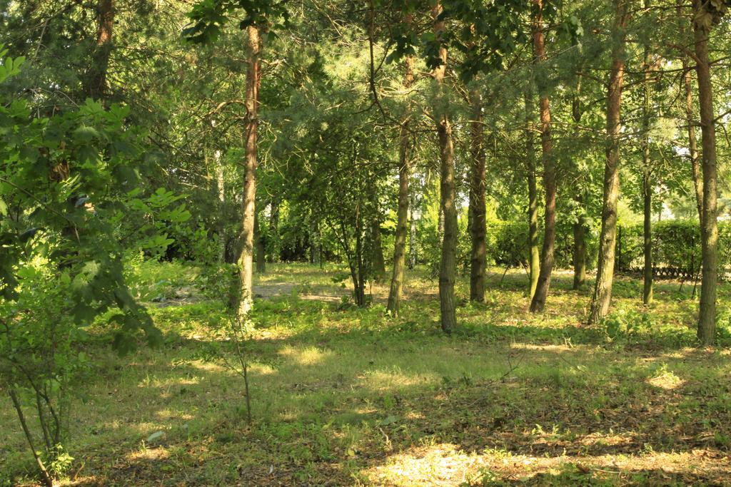 Vila Kasztelania Pod Lipami Zakroczym Exteriér fotografie